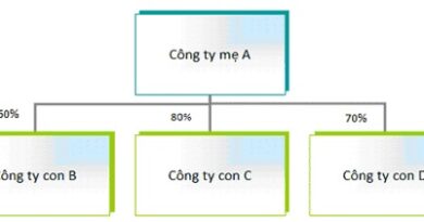 thành lập công ty con là gì